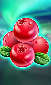 Winterberries